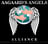 Aagaard's Angels Alliance Logo